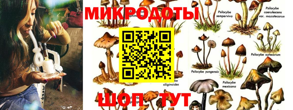Усть-Илимск  Галлюциногенные грибы Magic Shrooms  наркошоп  Вход с VPN 